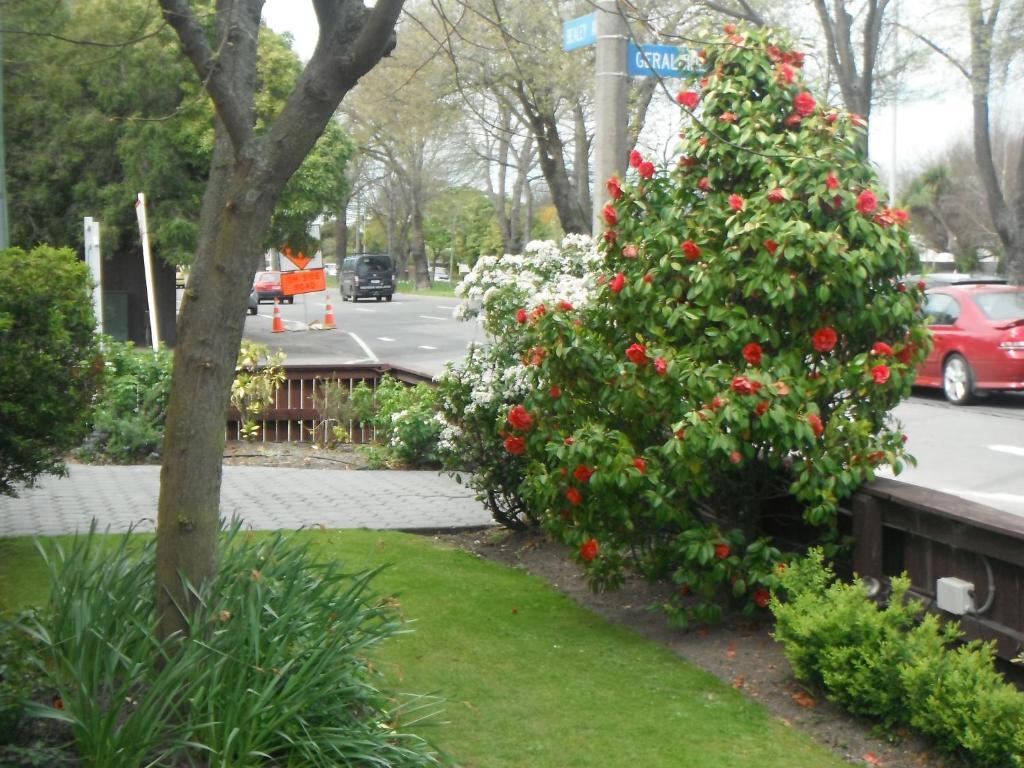 Avalon Motels Christchurch Extérieur photo