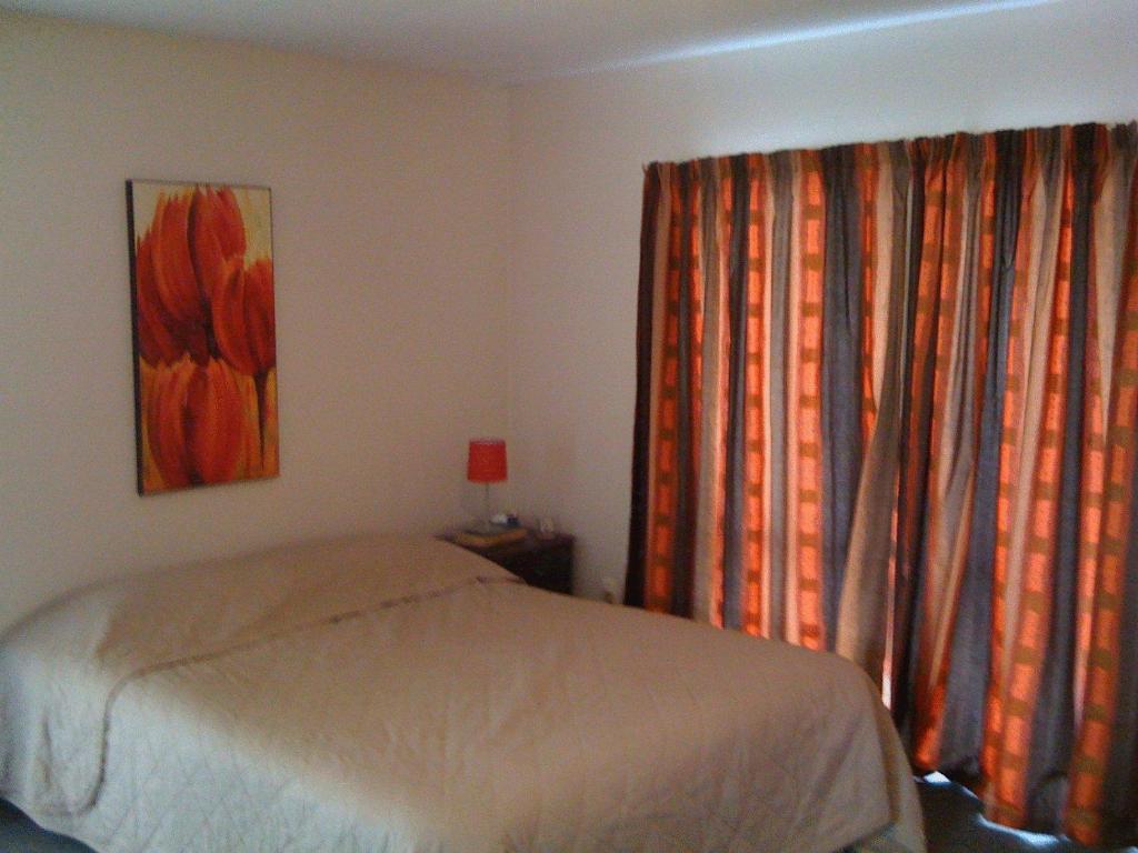 Avalon Motels Christchurch Extérieur photo
